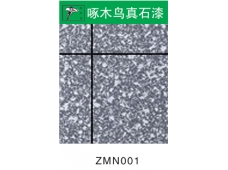 1ZMN011