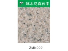 ZMN020