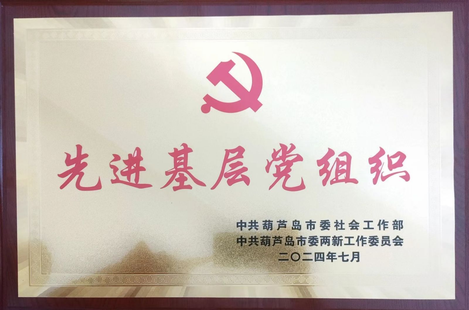 vwin网上官网漆业集团党支部荣获葫芦岛市“先进基层党组织”荣誉称号